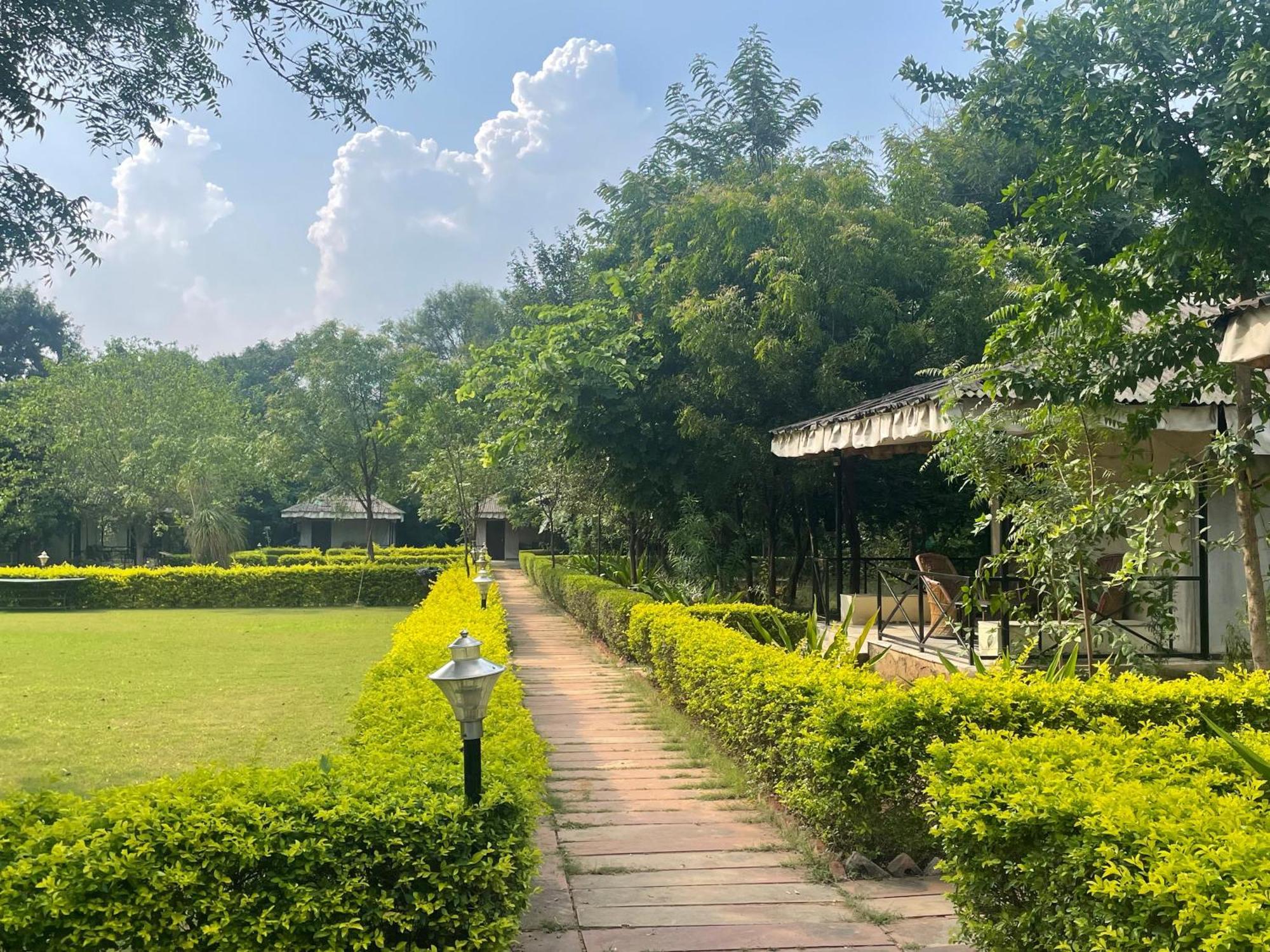 Sariska Tiger Heaven Hotel Akbarpur  Exterior photo